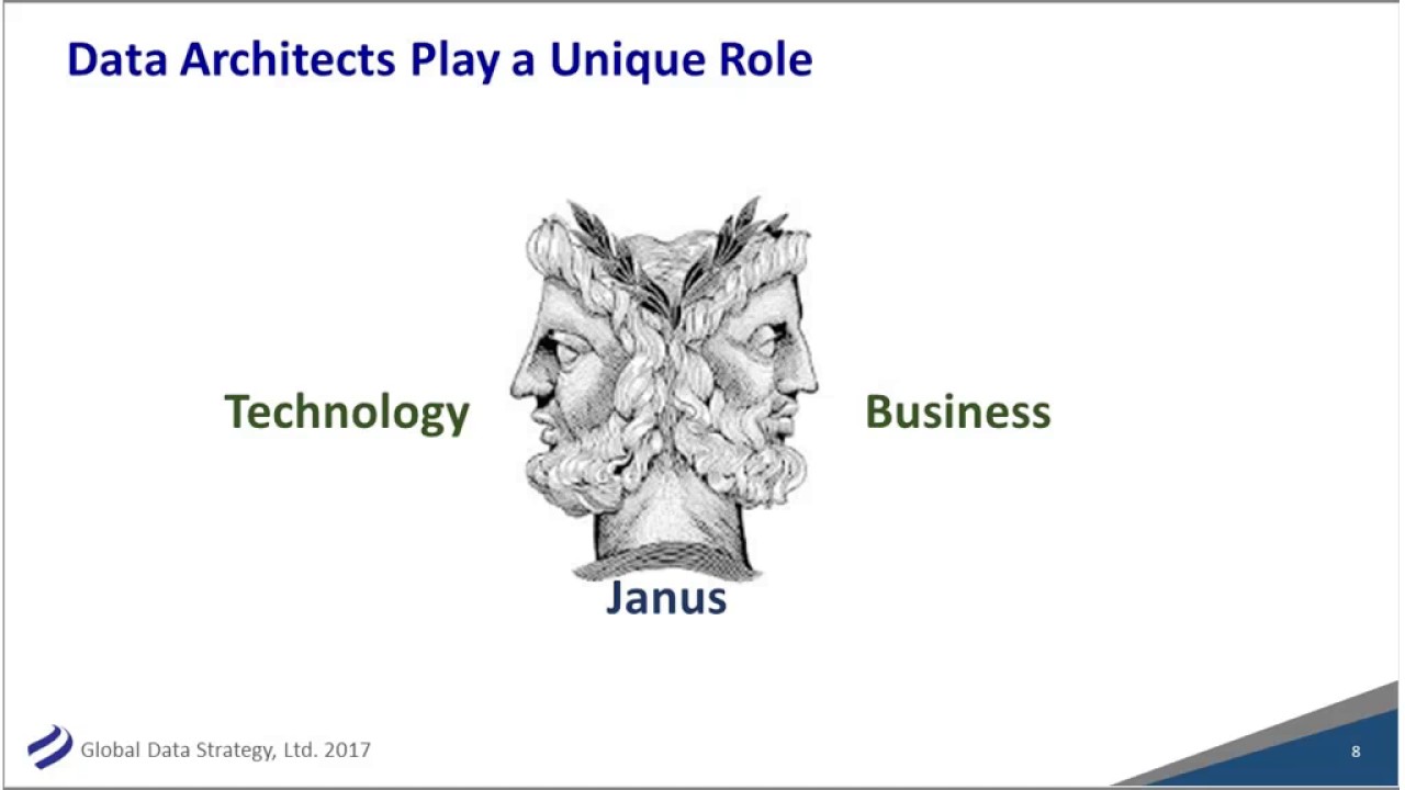 The Data Architect Career